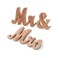 Rose Gold Mr & Mrs Sign Wooden Letters Wedding Table Decor Wedding Gift